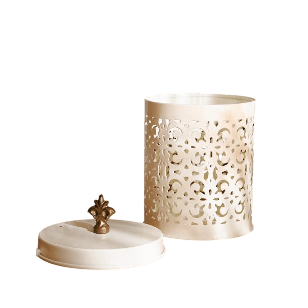 IRON  KITCHEN CONTAINER (COLOR)